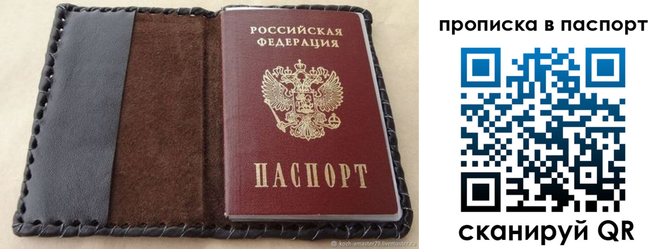 прописка иностранных граждан в Светлогорске